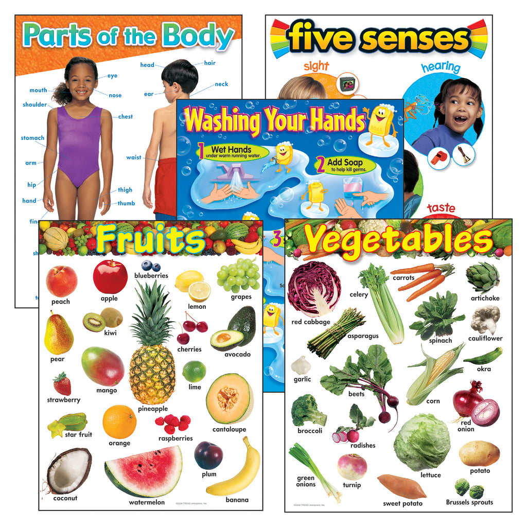 Trend Enterprises Healthy Living Learning Charts Combo Pack