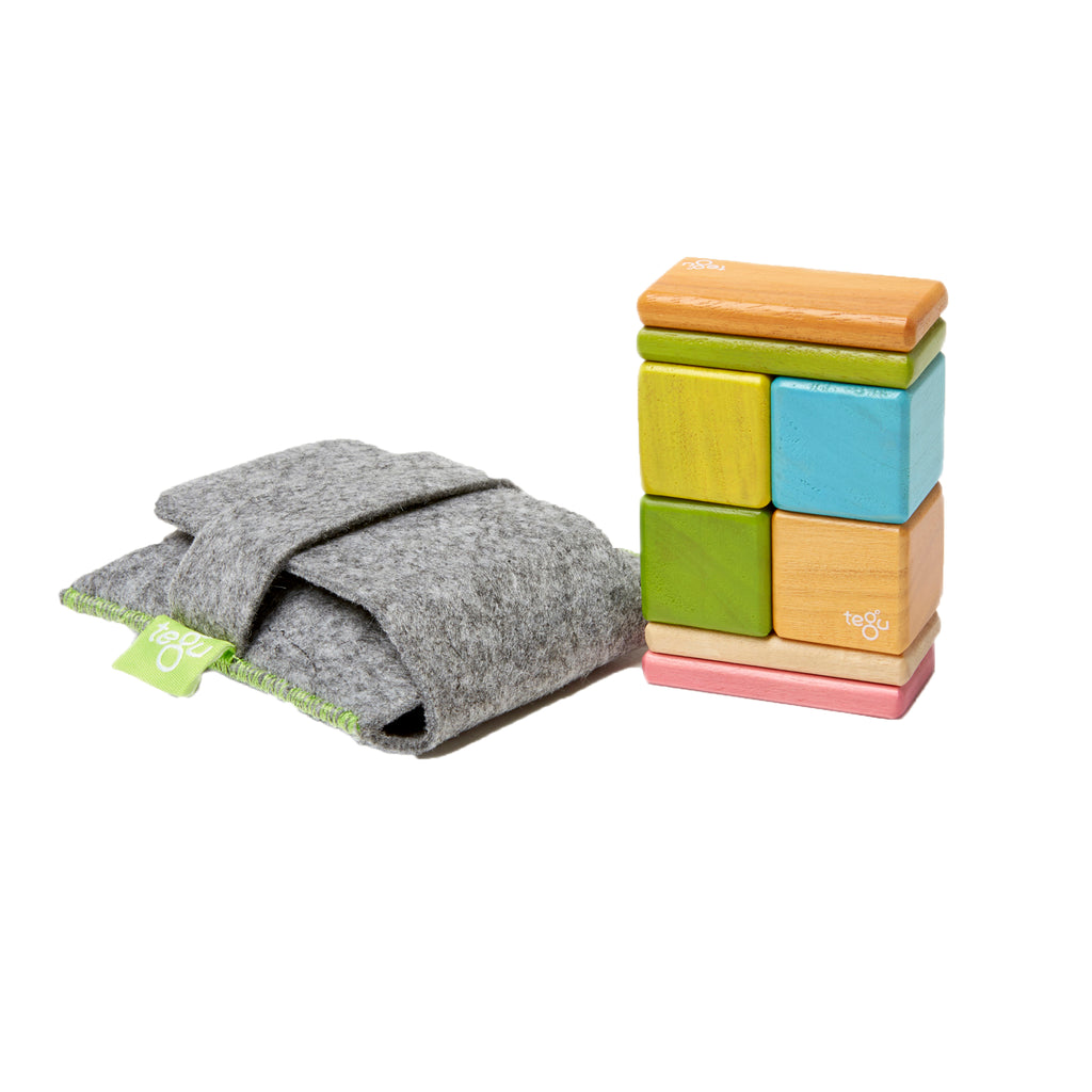 Tegu 8-Piece Pocket Pouch, Tegu Tints