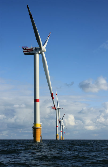 Make Your Own Wind Turbine - Science Fair Project