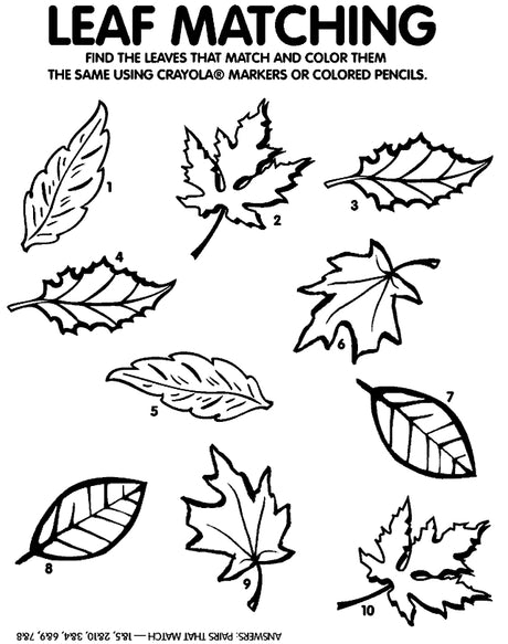 Fall Leaf Match