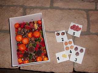 Fall Sensory Bin & Scavenger Hunt