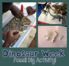 Dinosaur Fossil Dig Activity