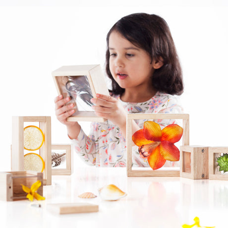 Treasure Blocks 