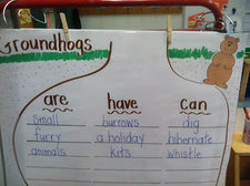 February Fun - Learning About Groundhogs