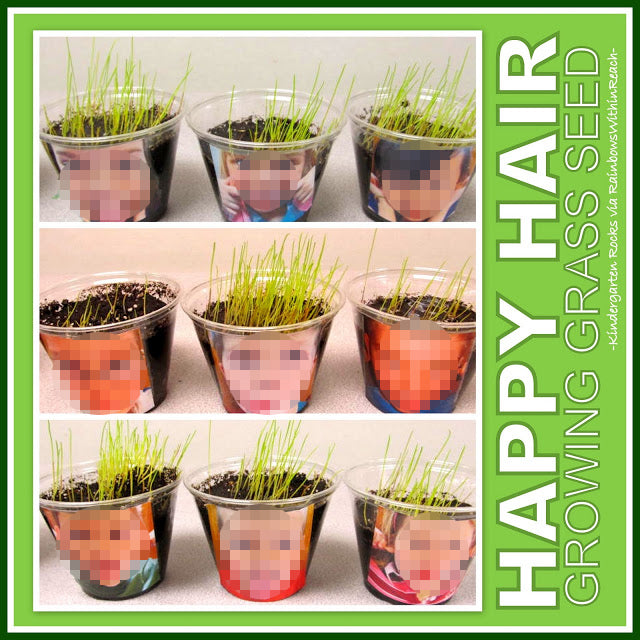 planting grass seeds preschool Happy Hair! Springtime Science with Seeds – SupplyMe