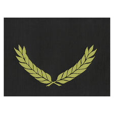 Black Certificate Folders, Gold Foil Stamped (30 Pack)