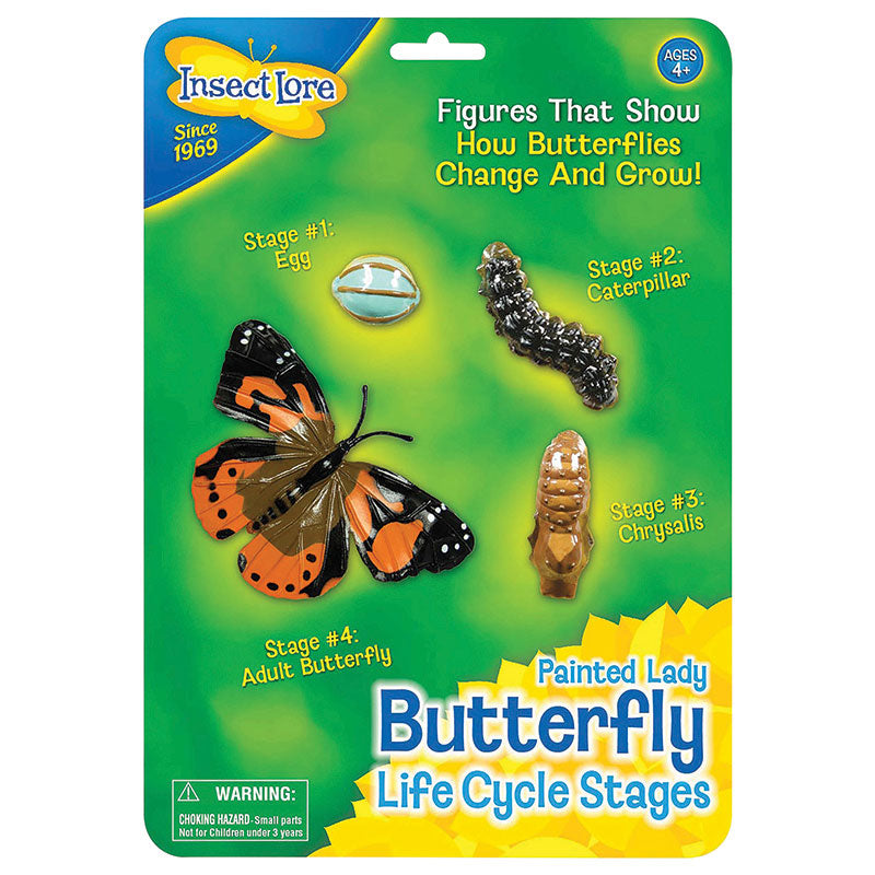 –　Insect　Lore　ILP4760　Butterfly　Life　Stages　Cycle　SupplyMe
