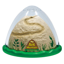 Ant Hill Double Sided Viewing Area