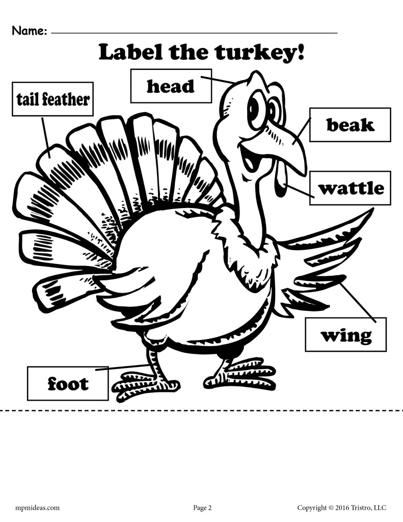 "Label the Turkey" (2 Printable Versions)!