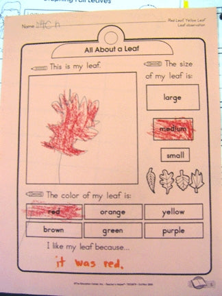 Completing a Leaf Report