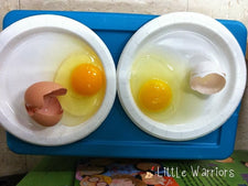 "Are We Really Different?" MLK Day Egg Experiment & Freebie!