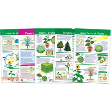All About Plants Bulletin Board Chart Set