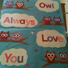 Owl Always Love You! - Valentine's Day Bulletin Board