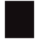 Pacon® The Heavy Poster Board, 22" x 28" Black (25 Sheets)