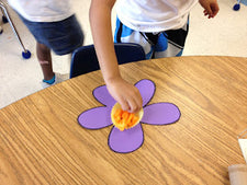 Spring Unit - Fun with Bugs!
