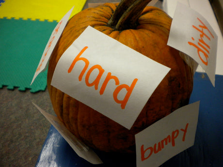 Fall Phonics - Describing Pumpkins