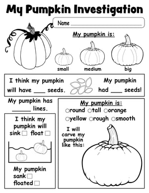 Pumpkin Investigation Worksheet - FREE Printable!