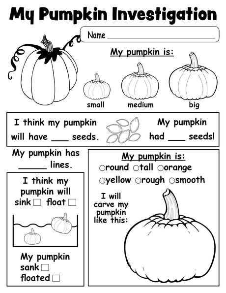 Pumpkin Investigation Worksheet - FREE Printable!