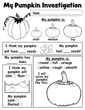 Pumpkin Investigation Worksheet - FREE Printable!