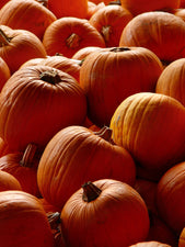 The Science of Pumpkins