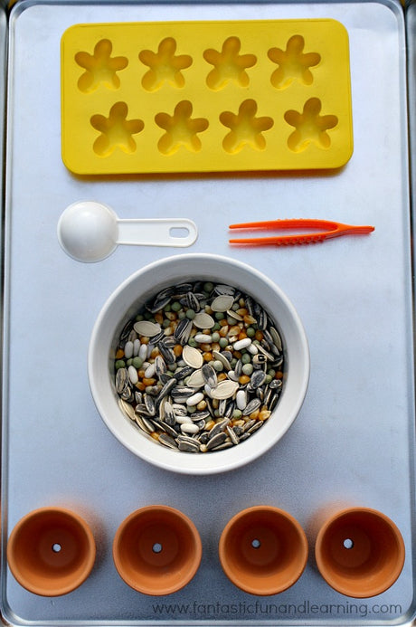 Spring Science - 3 Fun Seed Trays