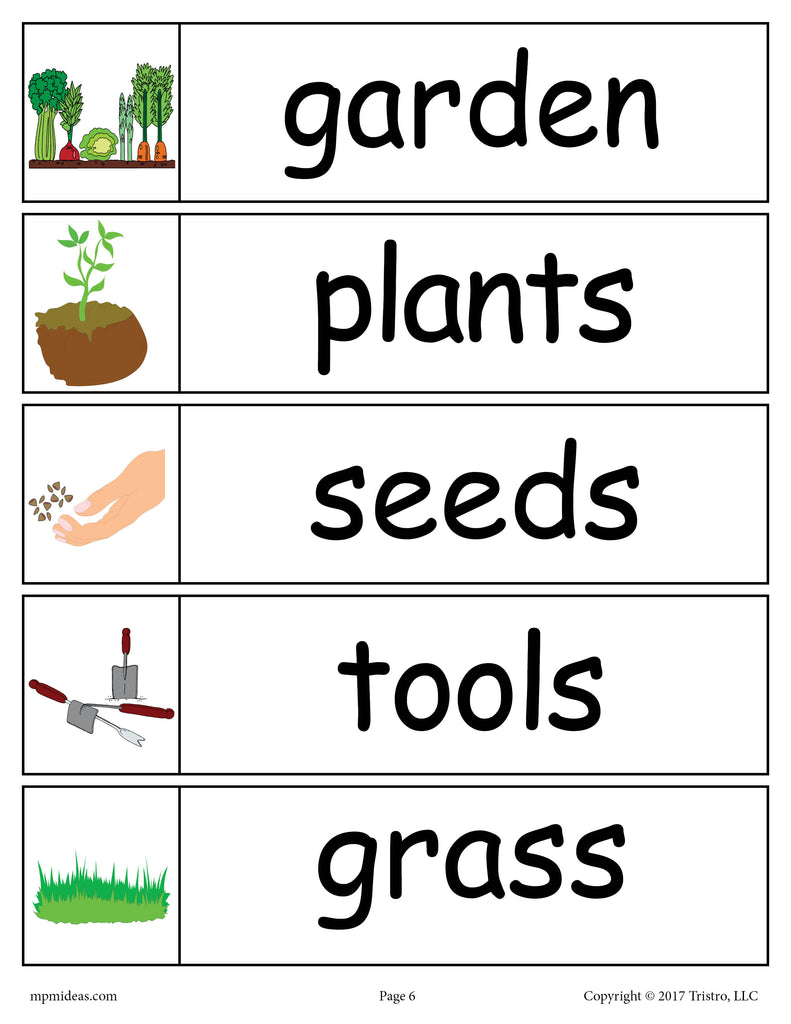 30 Spring Word Wall Words