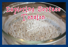 Properties of Water Lab #2 - Surface Tension