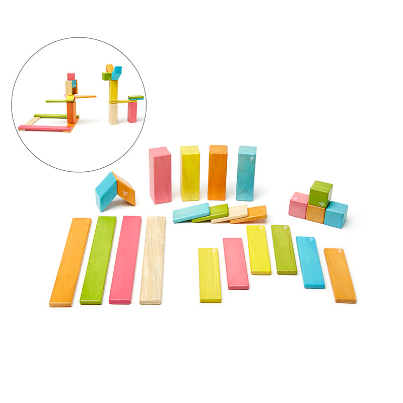 24-Piece Set, Tegu Tints