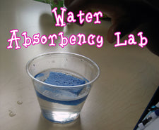Water Absorbency Lab