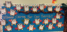 Whooo Cares About the Earth? - Earth Day Bulletin Board