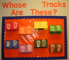 Whose Tracks Are These? Footprint Craft & Bulletin Board Idea