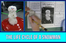 Winter Water Cycle Review - The Life Cycle of a Snowman