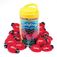Ladybugs Counting Set