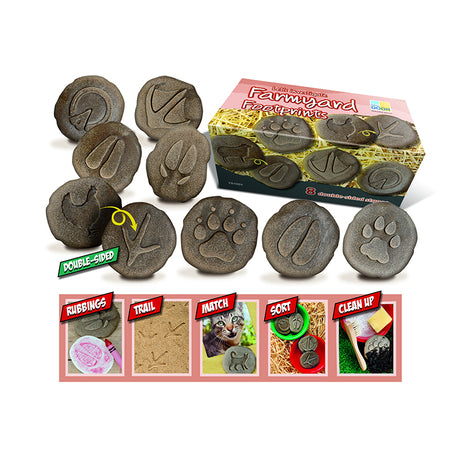 Let's Investigate Farmyard Footprints