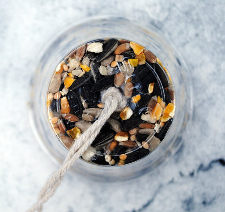 Spring Bird Watching - 6 Bird Feeder/Nest Crafts