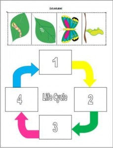 Butterfly Life Cycle Cut & Paste