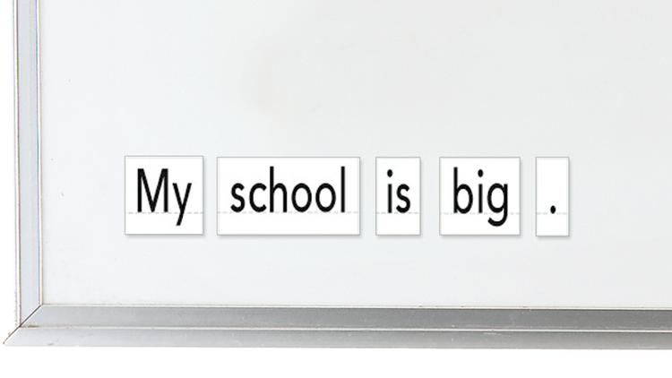 Magnetic Sight Words & Sentence Builders
