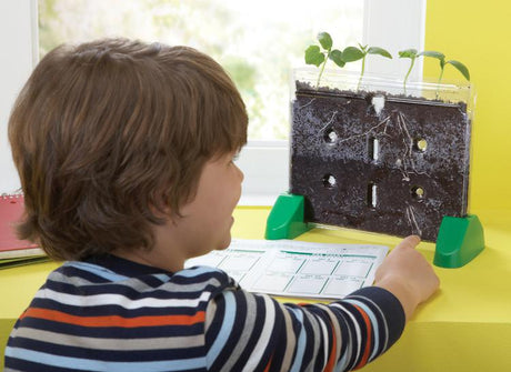 Sprout & Grow Window Gr K & Up