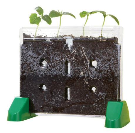 Sprout & Grow Window Gr K & Up