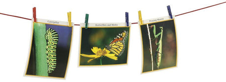 Classroom Clothesline 