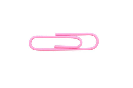 Vinyl Coated Paper Clips No 1 Size 100Pk