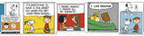 Peanuts® Comic Blocks Bulletin Board Border, Straight