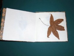 Getting Started On a Fall Leaf Book