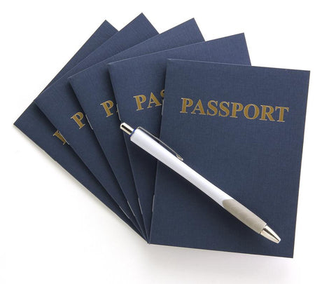 Passport Books (Blank Pages) - 24 Books
