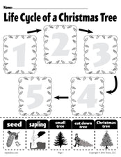 "Life Cycle of a Christmas Tree" Printable Worksheet
