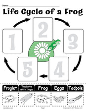 "Life Cycle of a Frog" Printable Worksheet