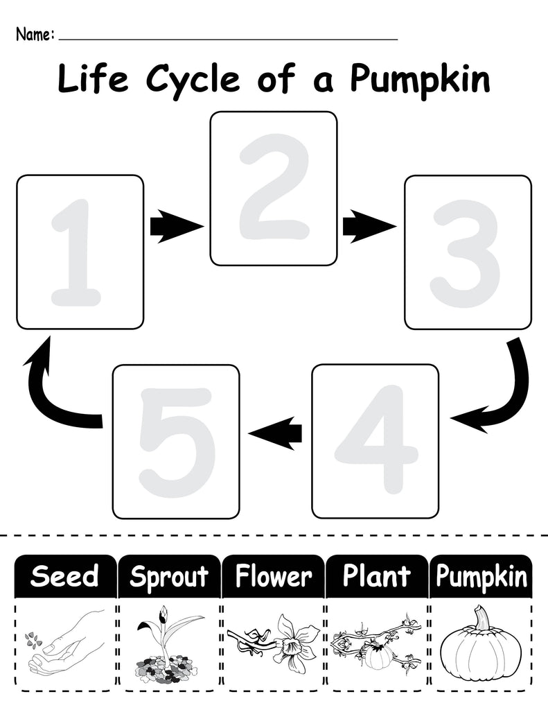 Cycle　a　Worksheets!　–　of　Printable　Pumpkin