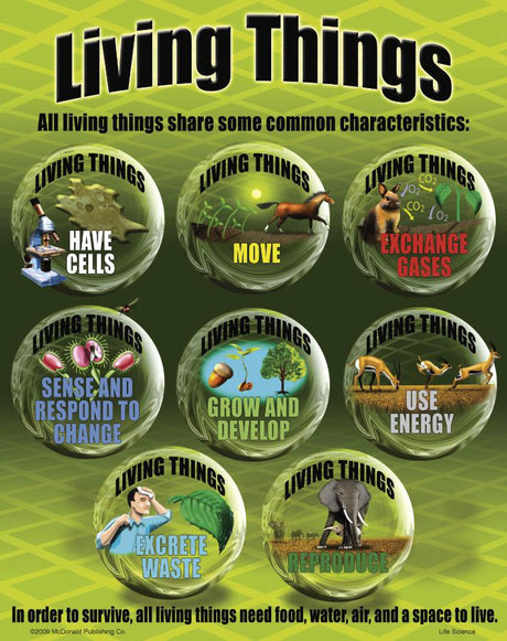 Life Science Poster Set