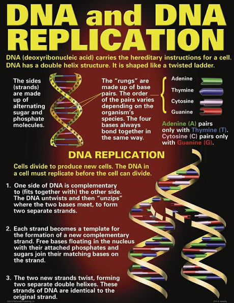 DNA & Heredity Poster Set