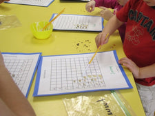Graphing Seeds & Analyzing the Data